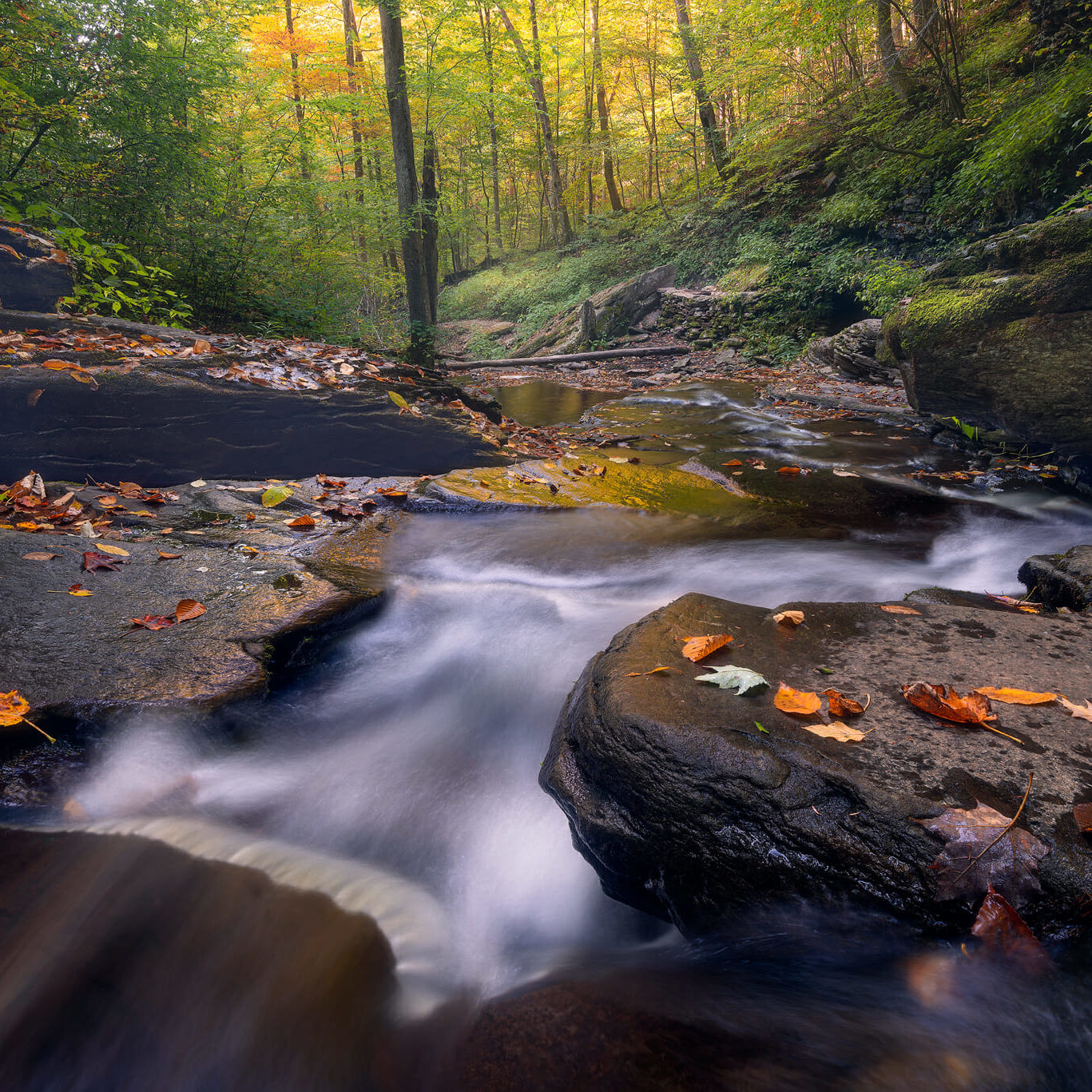 One of the many cascades of Ricketts Glen State Park cascades over the rocky gorge as the sun glows through the foliage beyond.