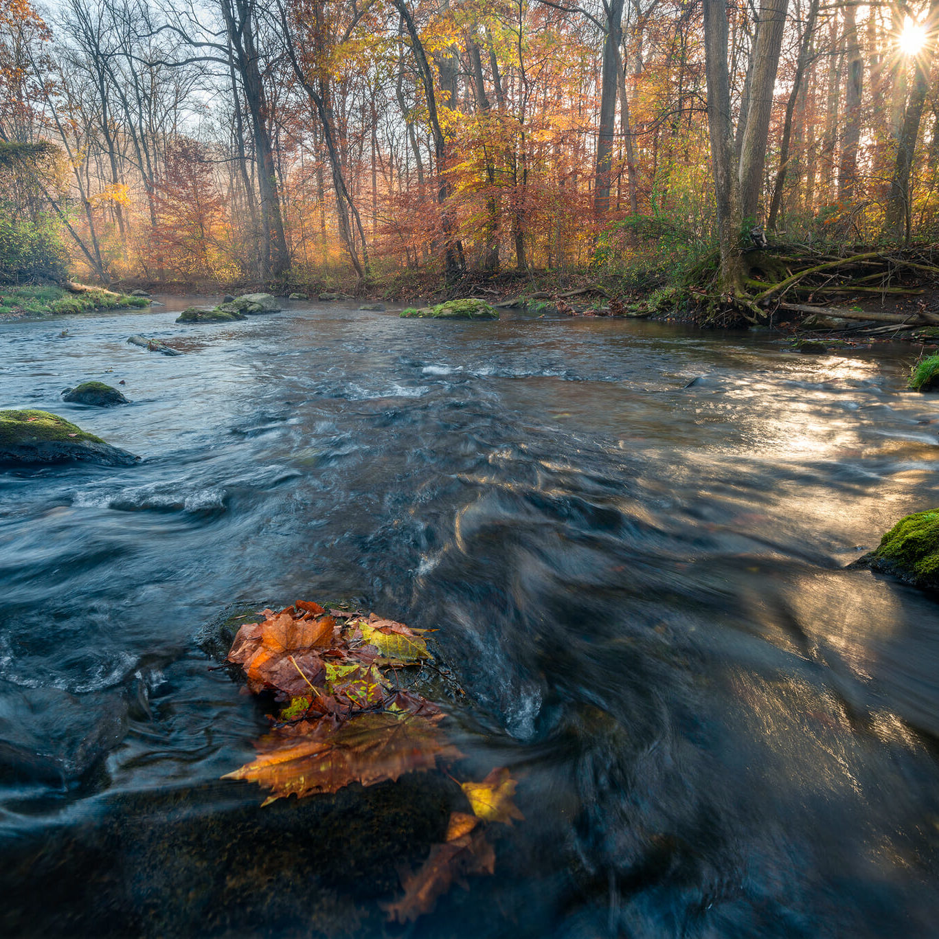 Ridley Creek rushes through the state park in southeastern Pennsylvania on a crisp autumn morning as the sun breaks through the trees.
