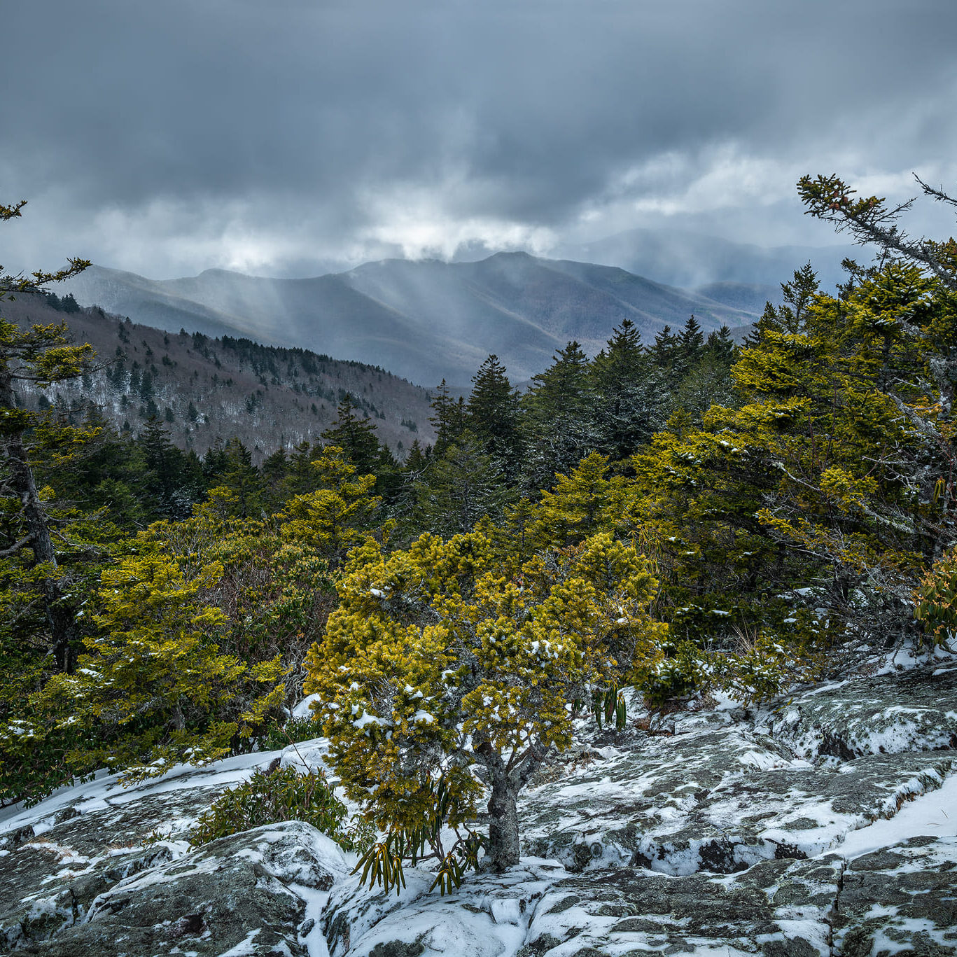 Crazy storm light contrasts with blowing snow high up on a ridge line in the Blue Ridge Mountains of North Carolina.