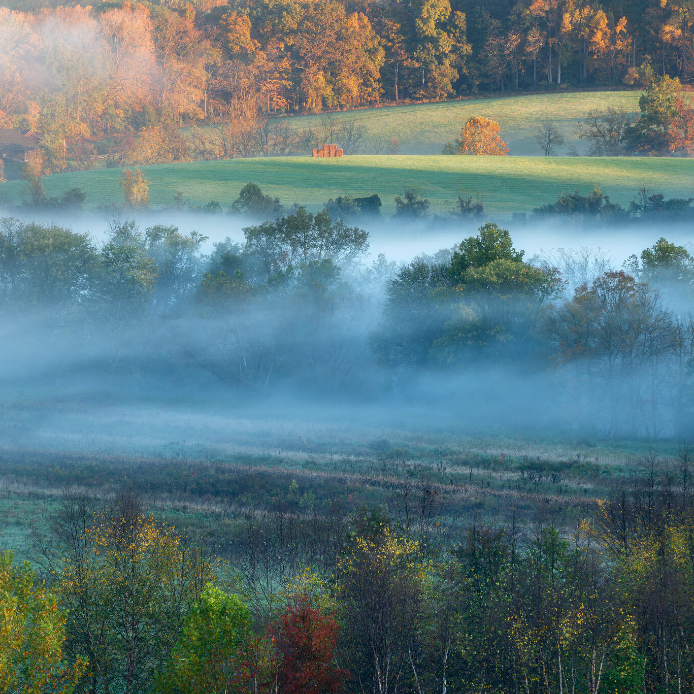 Pennsylvania Autumn Fog